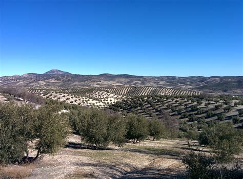 el tiempo campotejar|El Tiempo en Campotéjar, Granada a 14 días